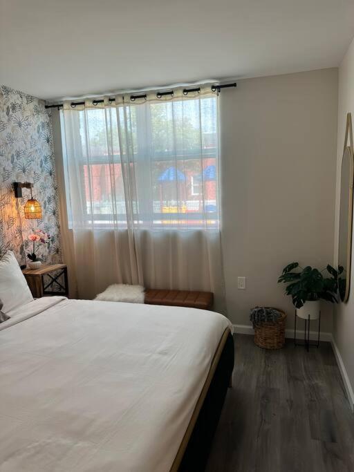 Home Haven, Walk To Little Italy & Wooster Square New Haven Buitenkant foto